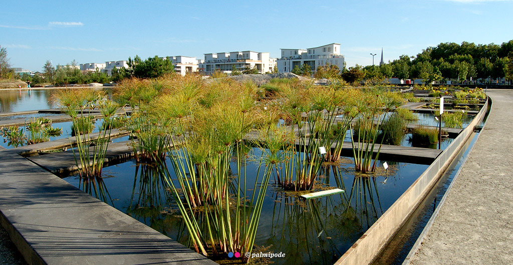 Ténéo Apparthotel Bordeaux - Jardin Botanique